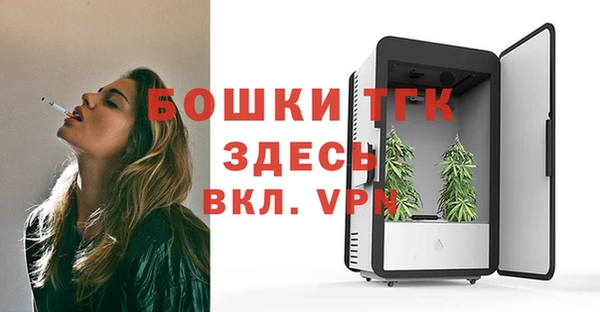 крисы Надым
