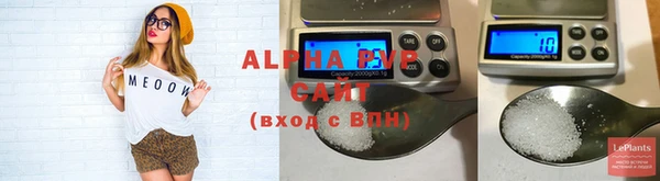 крисы Надым