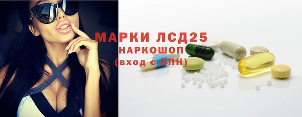 крисы Надым