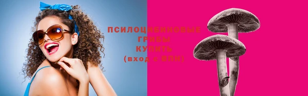 крисы Надым