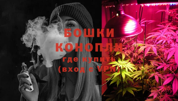 крисы Надым