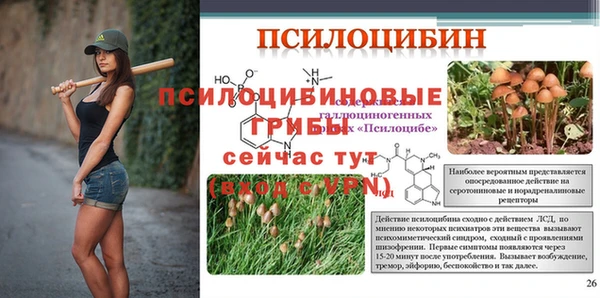 прущие грибы Навашино