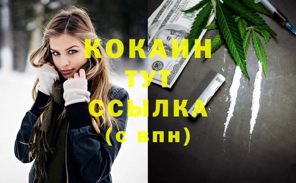 прущие грибы Навашино