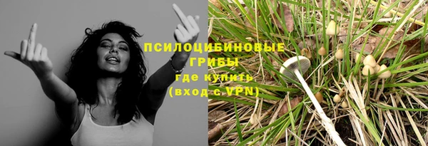 крисы Надым