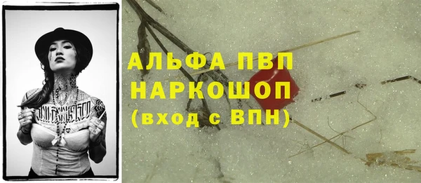 прущие грибы Навашино