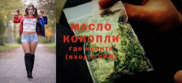 крисы Надым