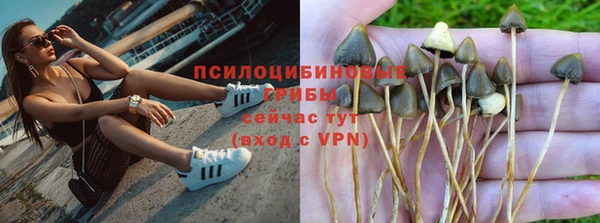 крисы Надым